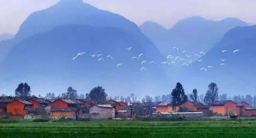 乡村振兴专题培训